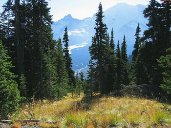 Birding Site of the week image